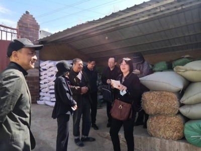 全國畜牧總站深入尋甸開展調研，共繪現代畜牧業與飼料銷售新藍圖