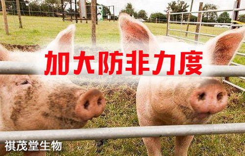 筑牢生物安全屏障 抓實關(guān)鍵措施，防控重大疫病，保障畜牧漁業(yè)飼料銷售穩(wěn)定