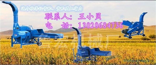青貯與秸稈加工新利器 噴青貯揉搓機(jī)與大型鍘草機(jī)的應(yīng)用與飼料市場(chǎng)展望
